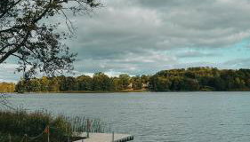 Bujanie w sitowiu - Foto 2