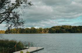 Bujanie w sitowiu - Foto 2