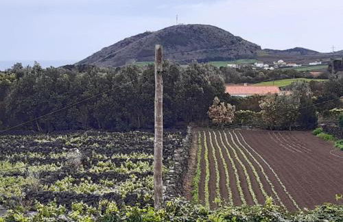 O Pomar do Gasparinho - Foto 31