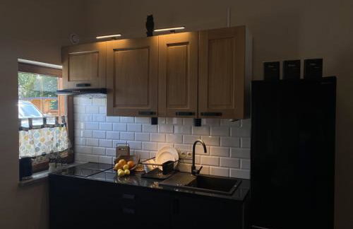 Kamień i Sowa - Foto 15