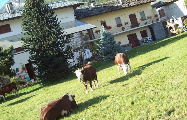 Agriturismo La Grange - Foto 29