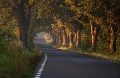 Agroturystyka Borówka - Foto 67