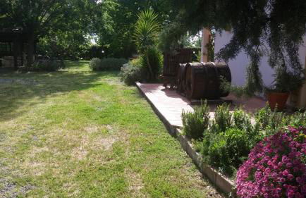 Agriturismo Pettinari - Foto 50