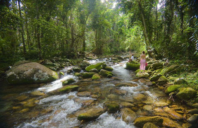 Misty Mountains Rainforest Retreat - Foto 1