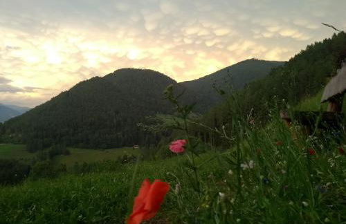 Natur Apartments Riesen - Photo 80