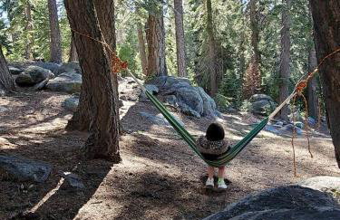 Blue Jay's Nest Sequoia Cabin in Ponderosa, CA - Foto 34