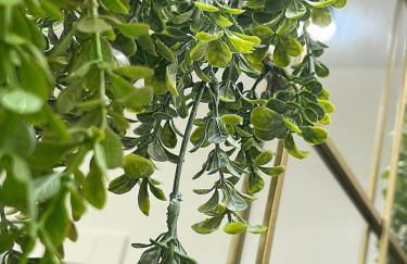 Avenzoar Apartments - Foto 10