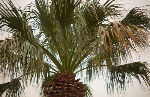 Charming Villa Maria - Foto 48