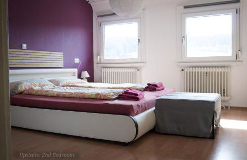 Entire House in Schwarzwald with mountain view, private Sauna, Gym, Garden and Terraces - Foto 53