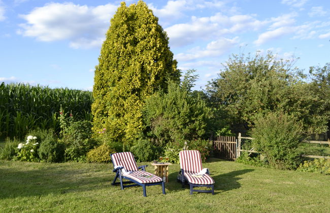 am Rotenberg - Foto 5