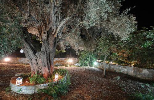 Koromilia Villa - Foto 51