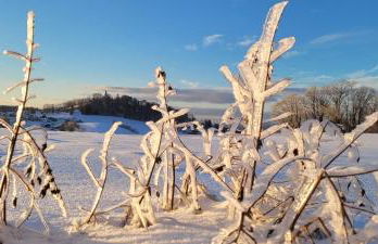Ferienwohnung Bayerwaldblick - Foto 38