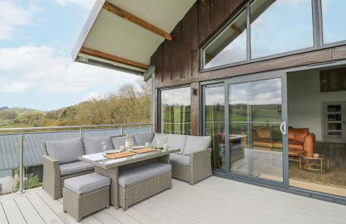 Barcud Coch - Red Kite - Photo 32