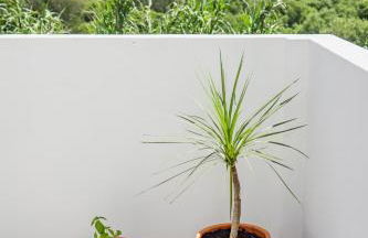 Casa do Mar - Almograve - Magnífico terraço com vista para o campo - Foto 13