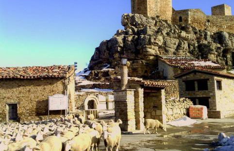 Masía La Posada del río Carbo - Photo 82