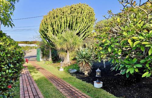 Nanou House - Foto 47