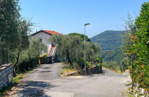 Ollie`s house - Foto 68