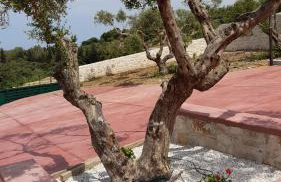 Georgioupoli Studio 2 with a pool and lake views - Foto 16