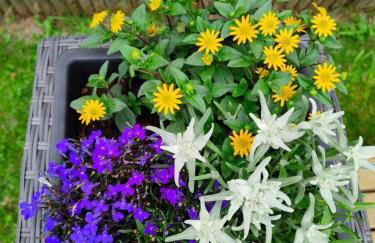 Appartamenti da Costantino - Foto 40