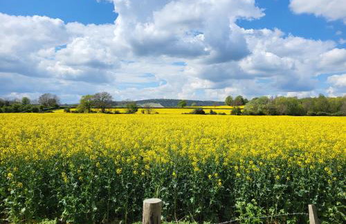 Open Plan Dog Friendly Annexe Sleeping 2 I Near Local Beaches & Chichester with FREE Parking - Foto 43