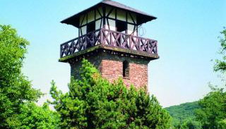 Ferienwohnung Neli am Rhein - Foto 4