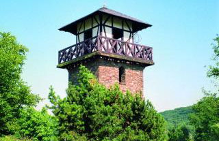 Ferienwohnung Neli am Rhein - Foto 4