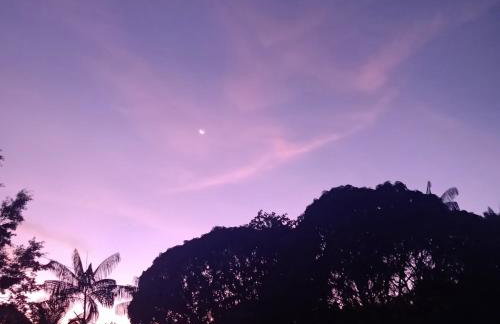 Chácara Celebrare - Photo 6