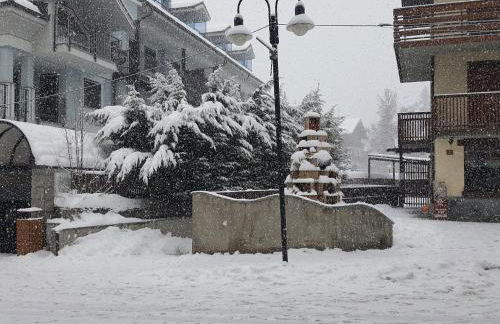 bardostudio - Foto 19