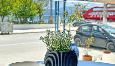 Oasis Luxury Apartments - Foto 4