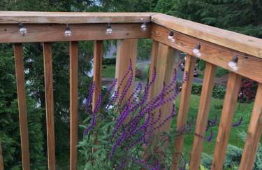 The Flying Whale-MountTabor. - Photo 41