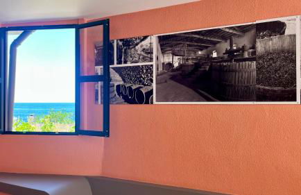 Domingos Reis - Foto 16