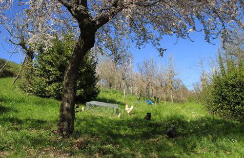 B&B dei Forestieri - Foto 11