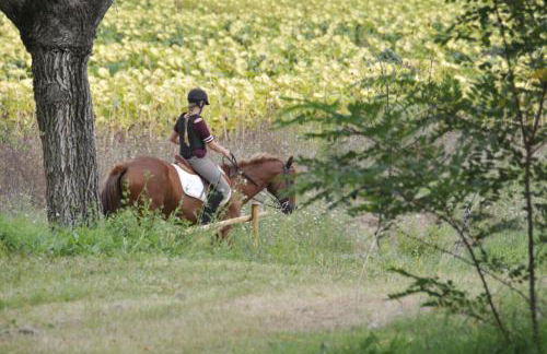 Agriturismo La Ripolina - Foto 67