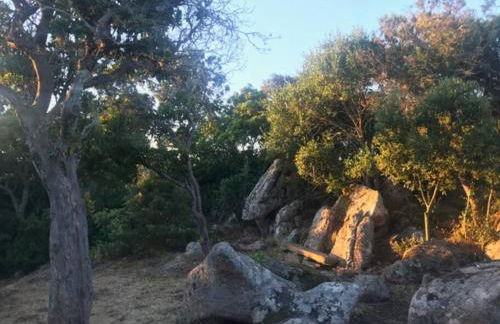 Maison de vacances dans village AUTHENTIQUE Corse - Foto 28