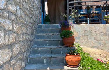 Κούκος ΕυΖην - Foto 2