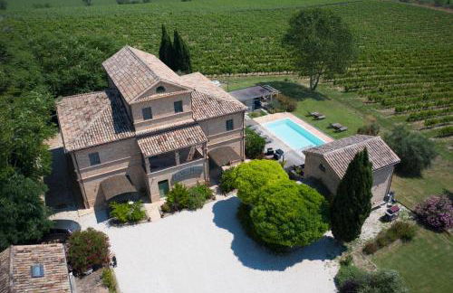 La Vita Nuova - Foto 53