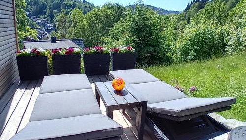 Lauschablick FeWo Thüringen - Foto 3
