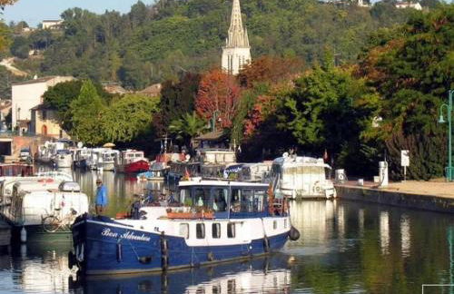 L'ile aux oiseaux - Foto 31