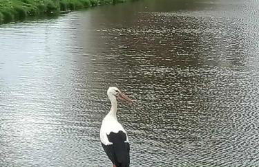 Domek nad stawem - Foto 17