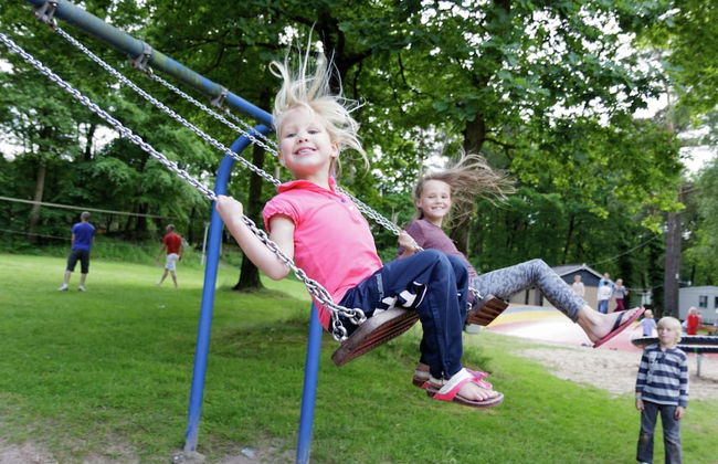 Holiday Lodge in Staphorst With Pool Access - Photo 11