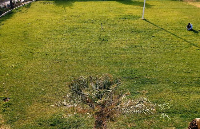 Evergreen Resort & Farm Aravali - Foto 8