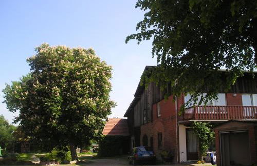 Ferienhof Kluvetasch Appartement Nr 2 - Strandmuschel - Foto 27