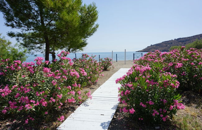 MariRena plaz - Foto 19