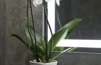 Warwick Reine Astrid - Lyon - Foto 50