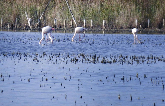 Holiday Cottage With Private Terrace, Bellegarde - Foto 52