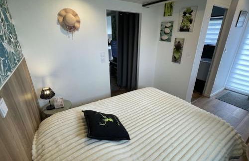 Lieu paisible et indépendant - Foto 12