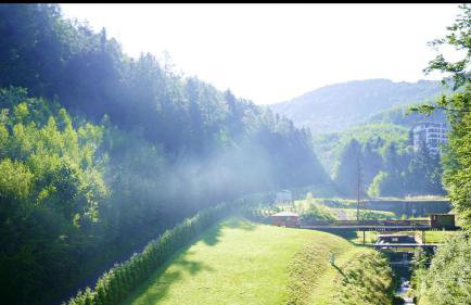 Czarodziejska Góra Kozubnik Daglezja - Foto 15