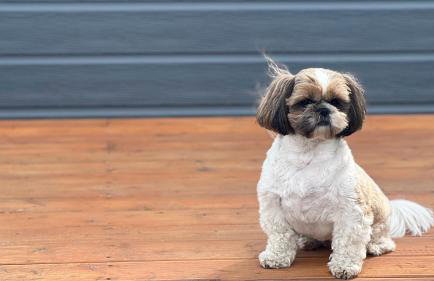 Nad Kamieniem - domki całoroczne - Foto 28