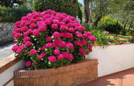 Casa Vittoria - Foto 36