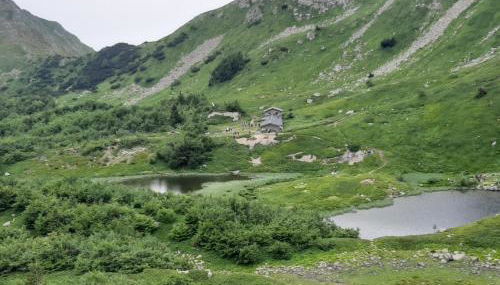 Appartamento La Volpe - Foto 2